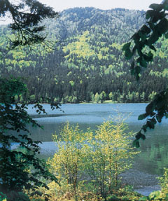A székelyek kedvelt kirándulóhelye a Szent Anna-tó